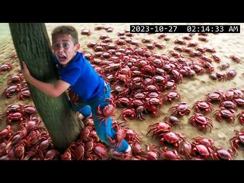 When Wild Animals Sneak Up Uninvited