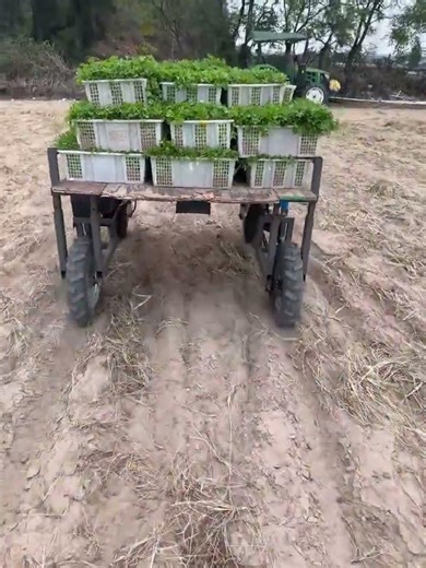 remote control trail carrier, remote control transporter