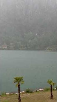 The Place Where Lightning Strikes Again and Again!