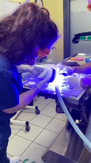 suite des soins de Cathy chez le vétérinaire
