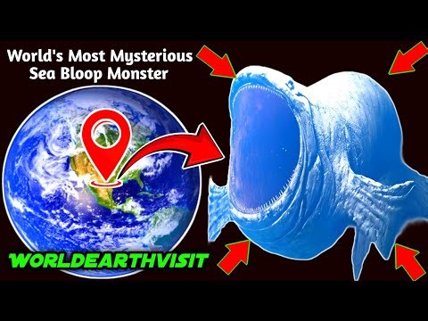 World's Most Mysterious Sea Bloop Monster Found on Google Earth 🌎#bloop #worldearthvisit