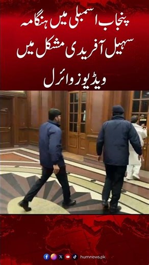 Heated Debate In Punjab Assembly Sohail Afridi In Trouble ? | Hum News | Pakistan