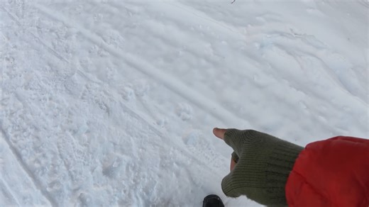 I found fresh wolf & moose tracks at my frozen pond campsite (Alaska)