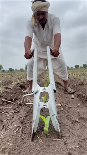 🌽 Amazing Manual Seeding Transplanter | Fast & Accurate Seedling Planting Tool #farming #viral