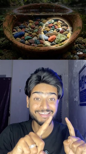 Put your finger up if you find an hidden animals💀Double tap on it, where you found😱￼