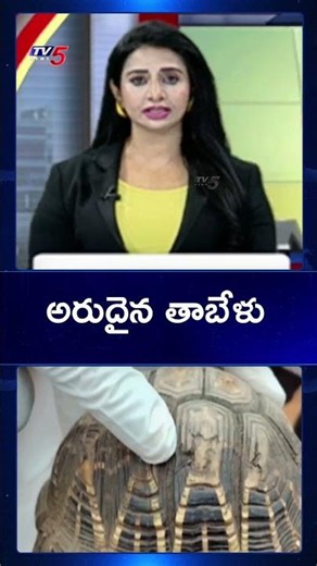 Rare Tortoise Found in Athmakur, Nandyal District | TV5 News