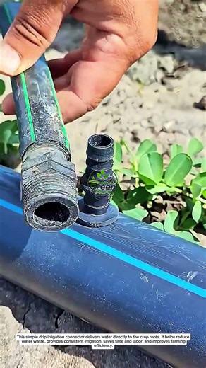 Efficient Drip Irrigation Installation for Better Crop Growth