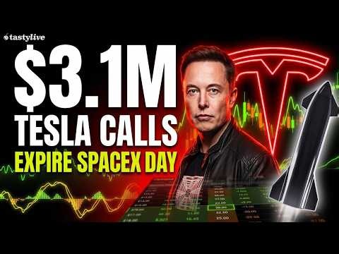 Someone Just Spent $3.1 Million on Tesla Calls Expiring the Same Day SpaceX Goes Public.