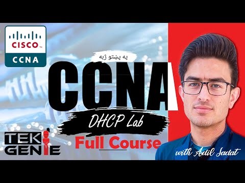 DHCP Packet Tracer Lab in Pashto | DHCP Server & Relay Agent Configuration | CCNA