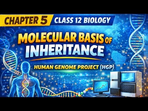 Human Genome Project: Decoding Human DNA 🧬
