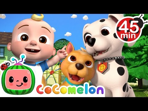 AWW!🥹Cute Puppies Play Together🐶| CoComelon | Animals for Kids | Sing Along | Learn about Animals