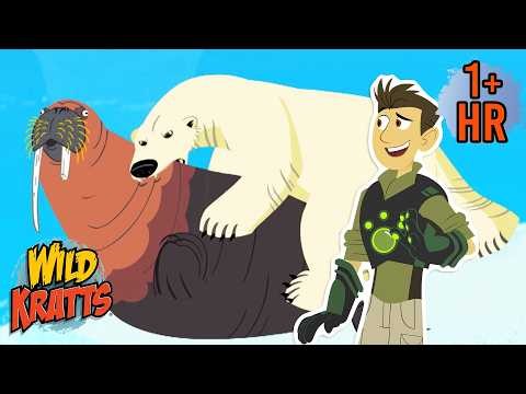 Polar Bear vs Walrus | Creature Battles | Wild Kratts