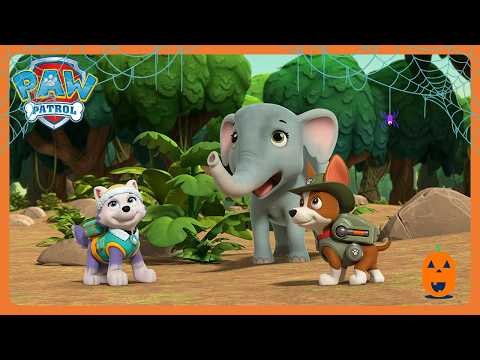 PAW Patrol - 🎃 Fall in the Hole 👻 | Kids Cartoons | WildBrain Zoo