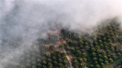 Aerial Drone Footage of Fire Burning at Landfill Site Stock Footage - Video of emissions, refuse: 452953320
