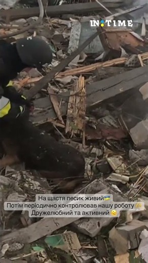 🐶❤️ A live dog was pulled from the rubble after a Russian attack.