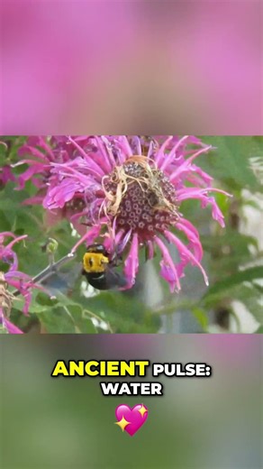 Microscopic Vortex: The Engineering Secret of Honeybee Wings 🐝🌪️ #shorts