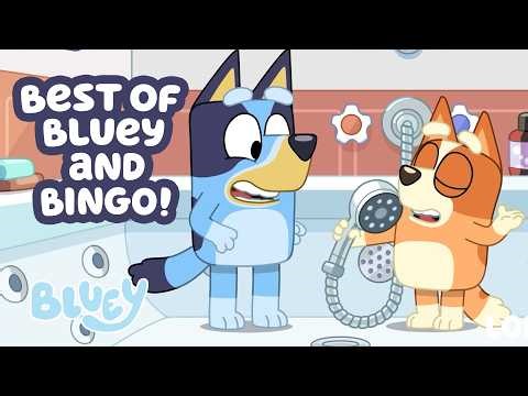 Best of Bluey and Bingo 💙🧡 | 2 HOUR Compilation! | Bluey