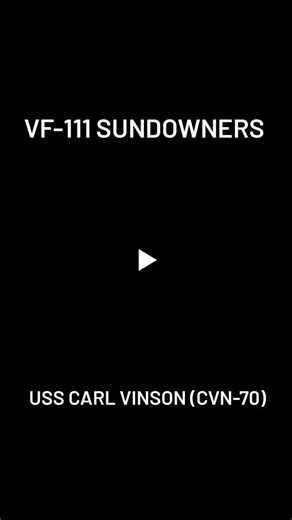 #nasmiramar #f14 #f14tomcat #usnavy #topgun #grumman #aviation #aerialphotography #fighterjet #fightertown #fightertownusa #nasoceana #naslemoore #naskeywest #fallonnevada #blueangels #nafelcentro… | Dexter Hall