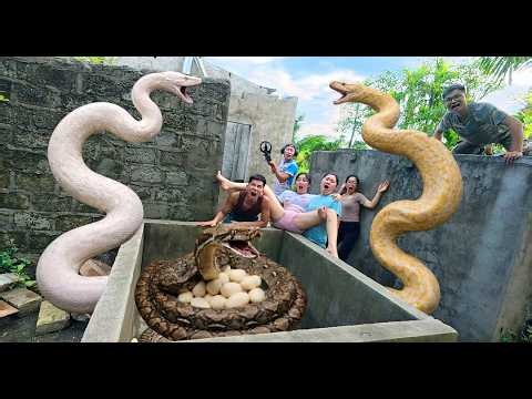 Brave Soldiers Used High-Tech Snake Detectors To Locate The Giant Python