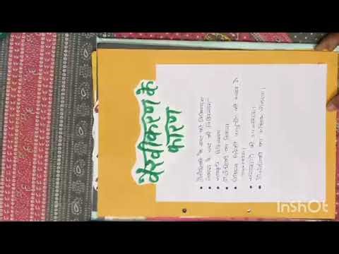 Class 12 political science project file 🎯