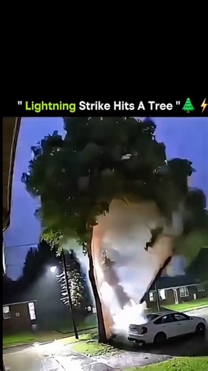 ojogl0bal on Instagram: "⚡️ SPLIT DECISION! 🌳 The Incredible Force of a Lightning Strike on a Tree! This video is a stunning compilation of multiple clips showing the raw, destructive power of lightning as it strikes various trees. The slow-motion or high-speed footage captures the moment the massive electrical discharge hits, instantly splitting the trunk, vaporizing moisture, and often tearing bark and wood outwards in a violent explosion. The striking visual element is the intense, sudden co