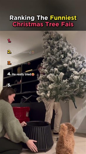 Funniest Christmas Tree Fails 🎄🤣