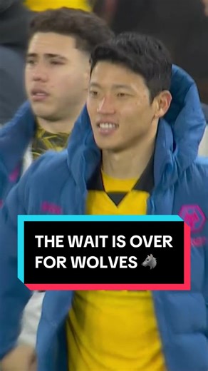 Wolves Celebrate First Victory of the Season in Premier League