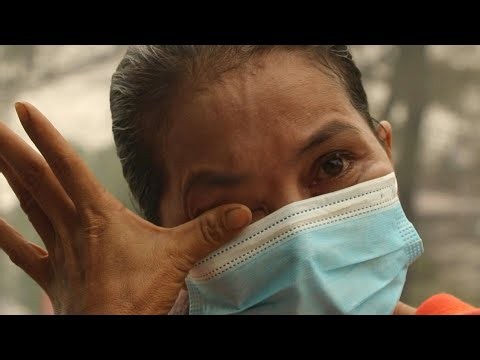 'Really bad': Indonesians struggle to survive amid toxic haze | AFP