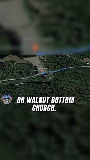 The Secret Water Source of Central Arkansas #water #nature #4k