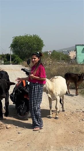 These Cows Needed Water… 🥺🐄#minivlog #minivlogshorts #cowlover