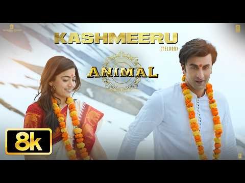 8K: Kashmeeru Video | ANIMAL | Ranbir Kapoor | Rashmika | Shreya Ghoshal | Yazin Nizar