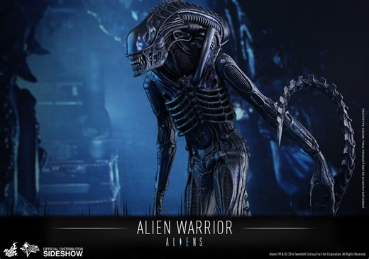 Alien Warrior Sixth Scale Figure by Hot Toys