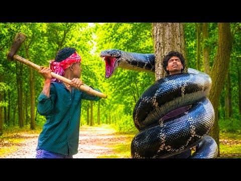 Anaconda Snake Attack On Village Boy In Forest | While Cutting Wood