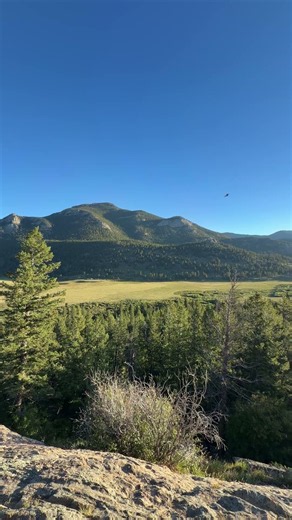 🏔️🌲 Inside the Wild Heart of Rocky Mountain National Park
