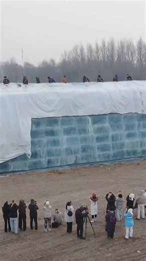 Film Pendek (@aldi.film)’s videos with suara asli - Film Pendek