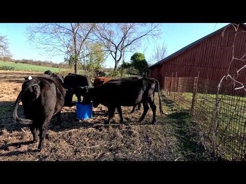 Pole barn project has begun