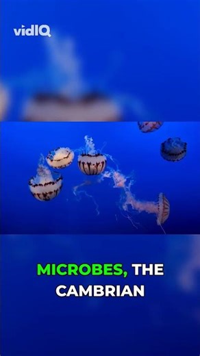 The Cambrian Explosion: Life's Radical Party!