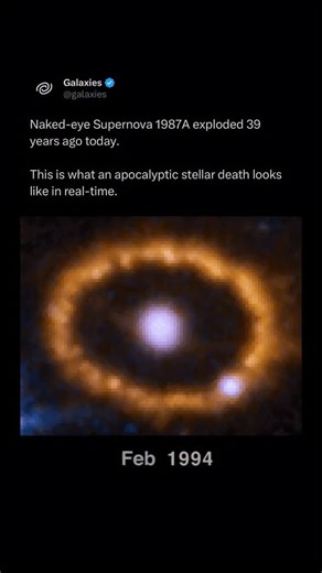 Supernova 1987A erupted 39 years ago, becoming the brightest naked-eye supernova since Kepler’s time. Exploding in the Large Magellanic Cloud, it gave astronomers an unprecedented close-up view of a massive star’s death and expanding shockwave. | Galaxies Video