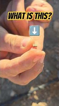 Meteorite with the Garrett Axiom metal detector?