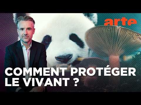 Biodiversité : des pansements sur une jambe de bois ? | Les questions qui fâchent | ARTE