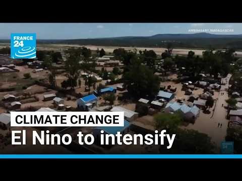 El Nino to intensify with peak in December, UN warns • FRANCE 24 English
