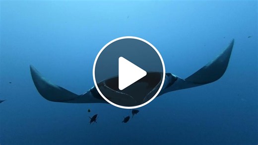 Science News - NewsBreak