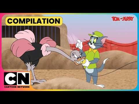 Tom's Zoo Has A Jerry Problem!😹🦁| Tom and Jerry😺| National Wildlife Day | Kids Cartoon😁| @cnindia​