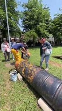忠傳媒新聞（記者陳朝欽/高雄報導）每年4月的最後一個星期日為國際搜救犬日，高雄市動物保護處與高雄市政府消防局特搜大隊搜救犬馴養小組於今2026年4月26日勇闖平也能親身參與、體驗搜救犬的紮實訓練過程