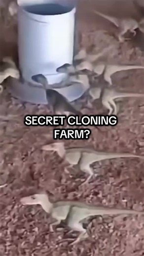CRYPTOZOOLOGY, DINOSAUR, TREX , DRAGON, CLONING , LIVING FOSSILS, LIVING DINOSAURS #unexplained #cryptozoology #secret