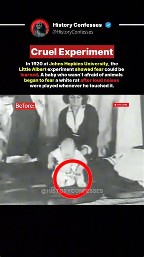 Cruel Experiment #history #experiment