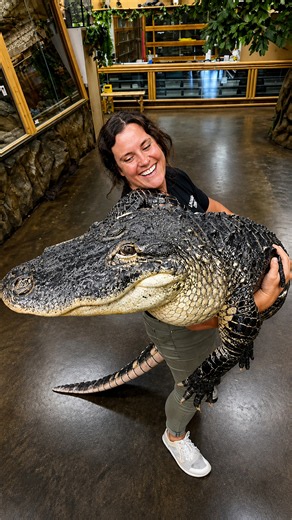 Best animal moments of the year with reptiles, elephants and more
