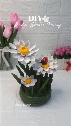 DIY Pista Shells Daisy 🌼 #diy #craft #trending #handmade #shorts #daisy #craftee