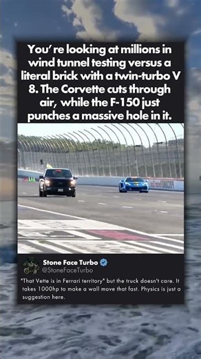 CAN A BRICK REALLY CATCH A VETTE?