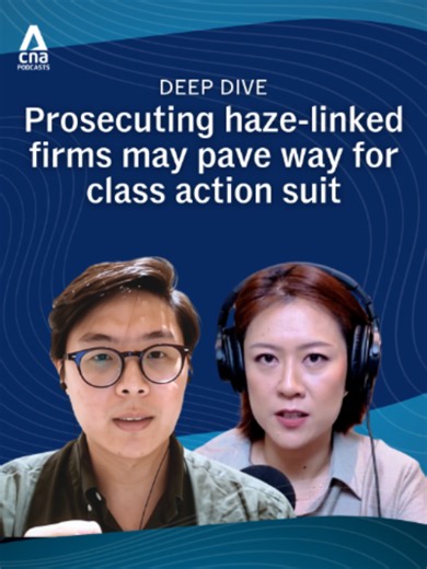 Singapore has issued preventive measure notices to 10 companies in Indonesia with links to the fires causing the current haze. Under the Transboundary Haze Pollution Act, the companies are required to deploy firefighting personnel, prevent further burning on their land and submit action plans to the National Environment Agency. If any of the companies are found guilty, it could pave the way for individuals to pursue compensation claims for losses, including lost profits, injuries and property da